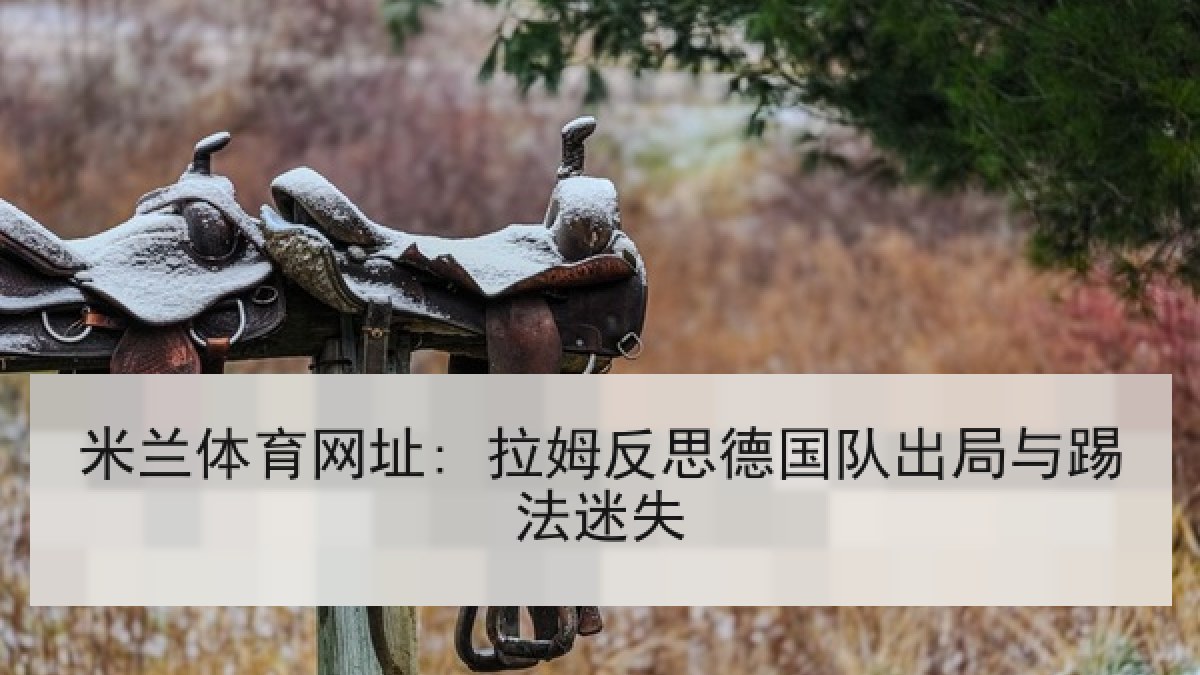 米兰体育网址: 拉姆反思德国队出局与踢法迷失
