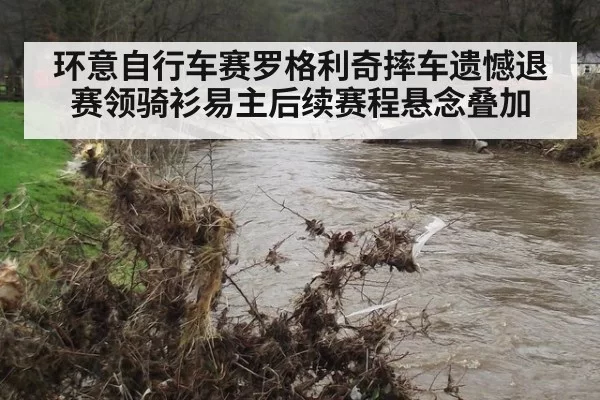环意自行车赛罗格利奇摔车遗憾退赛领骑衫易主后续赛程悬念叠加